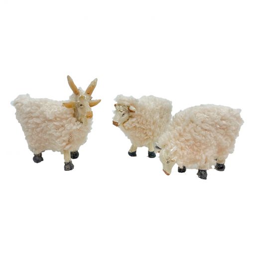 Cordero con lana 5 cm