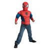 Disfraz de Spiderman infantil pecho en caja